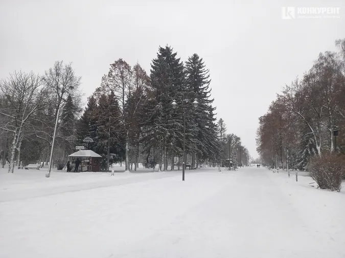 Сніжно і безлюдно: зима у Центральному парку Луцька (фото)