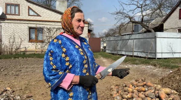 Господиня Мирослава