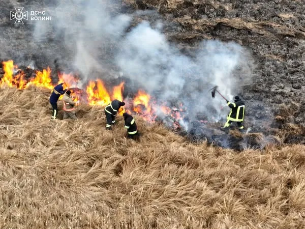 Вогняні стовпи в заплаві Прип'яті: на Волині майже півтори доби гасили масштабну пожежу (фото)