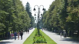 У центральному парку Луцька – атракціони без дозволів (фото)