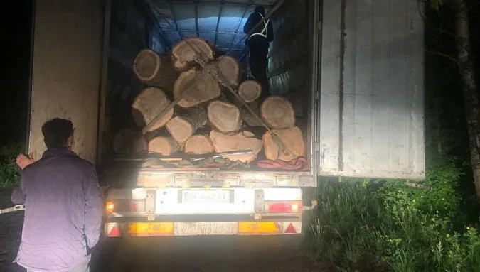 На Волині затримали вантажівку з дубовими колодами (фото)
