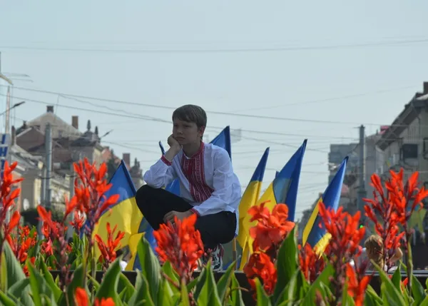 Як лучани «вишили» тілами в'їзну вежу замку Любарта (фото)