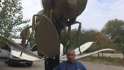 "Буде довго стояти", – творець гігантського пам'ятника бджолі на Волині (фото)