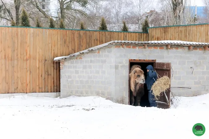 У Луцькому зоопарку «ловили» останні зимові кадри (фото)