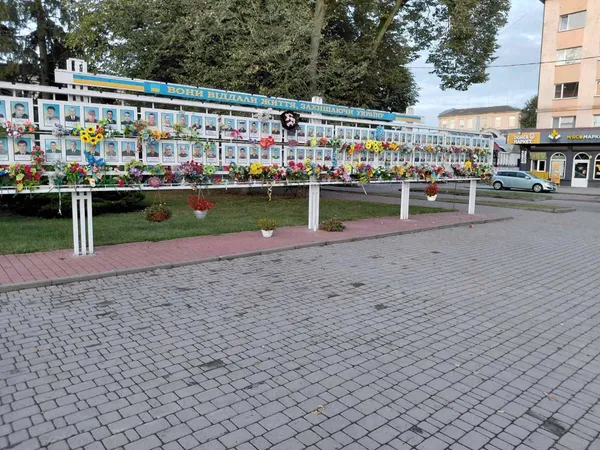 У Володимирі вандали потрощили пам'ятку історії та квіти біля Дошки пам'яті полеглим Героям (фото)