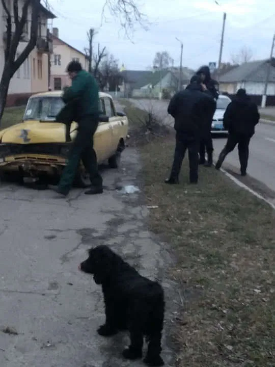 У Нововолинську авто повалило дерево та заїхало на тротуар (фото)