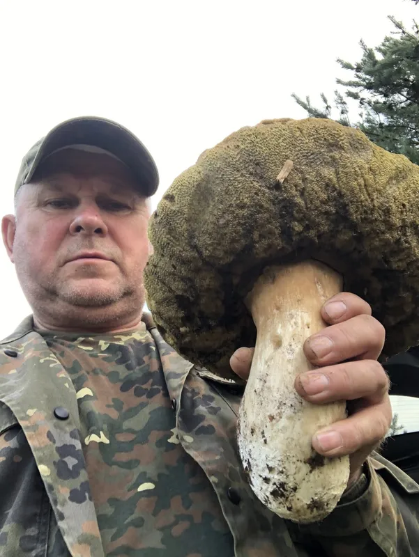 У Луцькому районі чоловік знайшов гриб аномального розміру (відео)