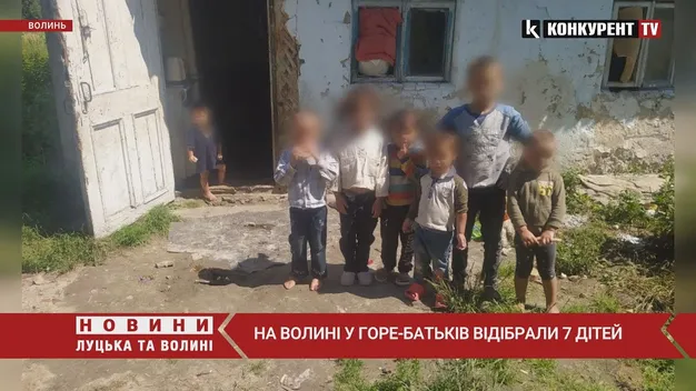 На Волині у батьків відібрали сімох дітей: ті жили у нестерпних умовах (фото, віде)