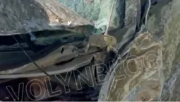У Луцьку авто на швидкості влетіло у дерево: водій – в лікарні (відео)