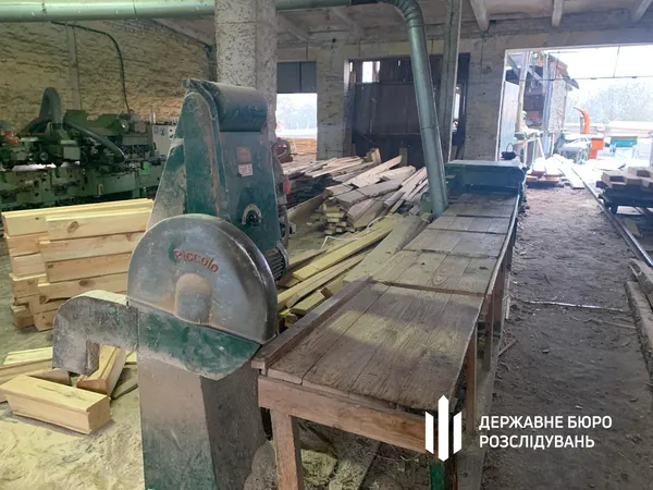 Збагачувався на вирубках лісу: волинський прикордонник отримав вирок (фото)