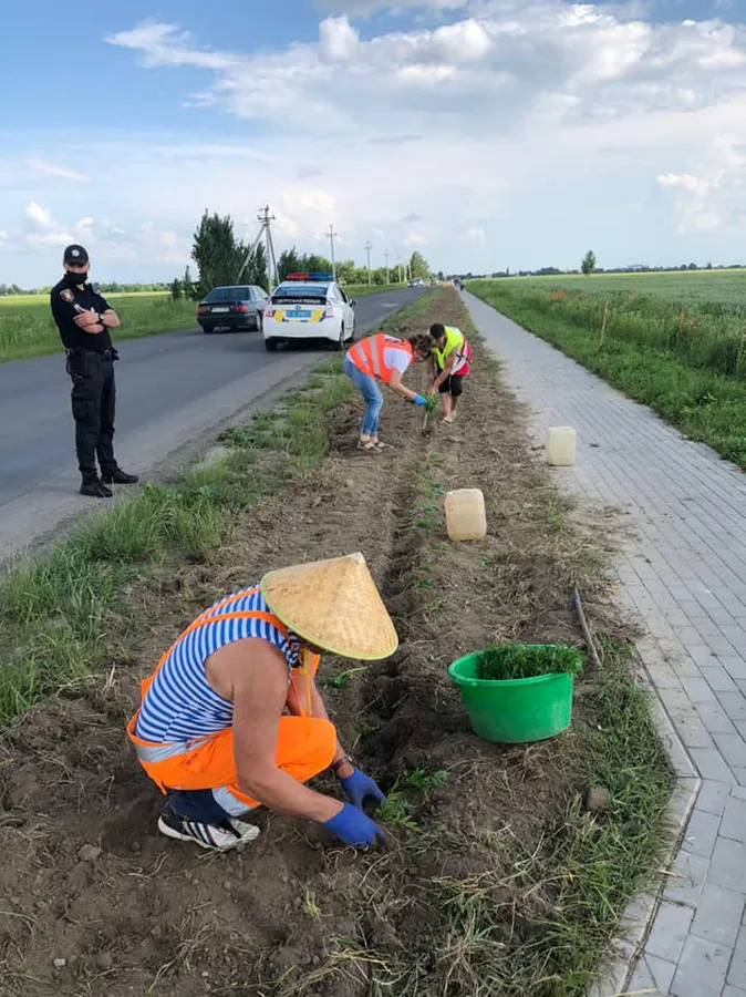 «Квітучий прапор України» збільшився на 2 км і простягнувся вздовж дороги Луцьк-Жидичин