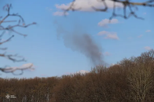 У лісі на Волині знайшли схрон боєприпасів німецької армії часів Другої світової війни (фото)
