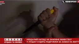 У Луцьку судять подружжя, яке ледь не вбило господаря будинку (відео)