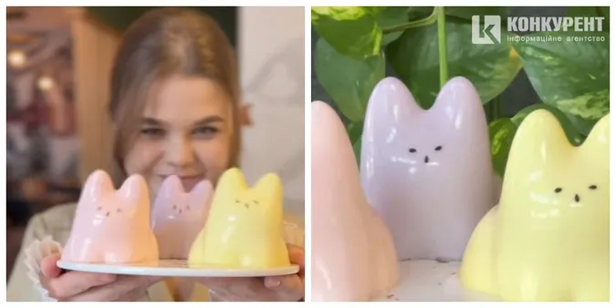 😽Десерт підірвав тікток: у луцькому закладі можна з'їсти панакотики