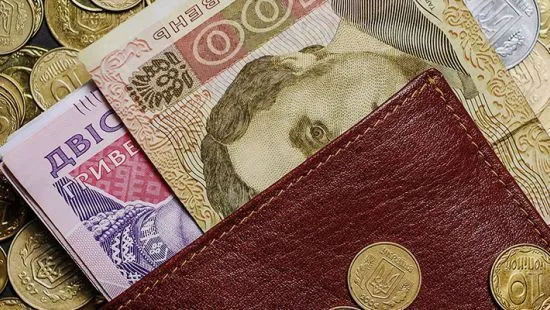 На що вистачить української «мінімалки» (інфографіка)
