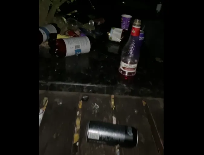 «Місто бидл*нів»: центр Луцька перетворили на свинарник (відео)