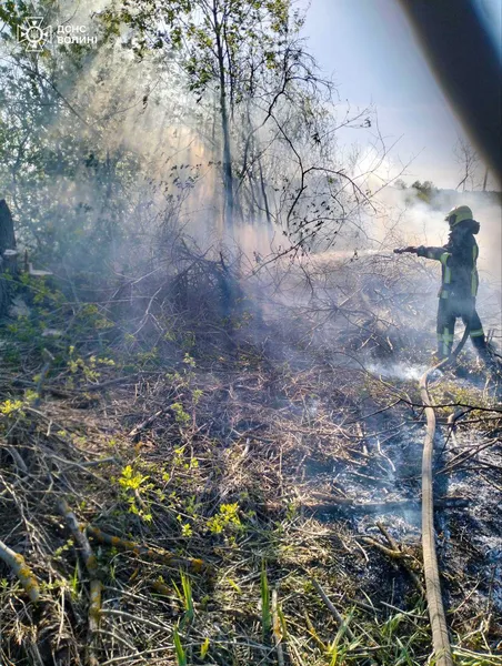 На Волині пожежа із сухостою перекинулася на торфовище (фото)