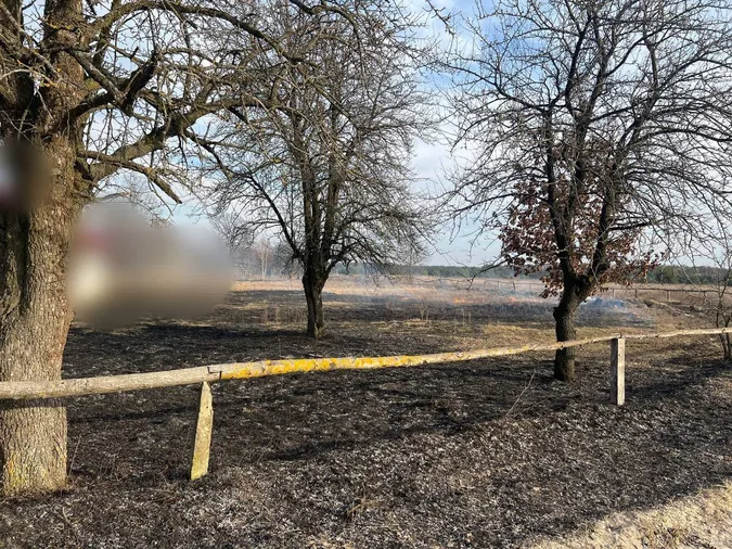 Знищили пів поля: у громаді на Волині спіймали паліїв