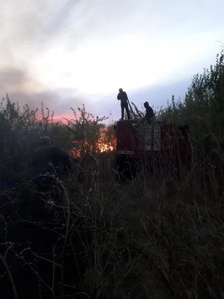 На Волині горів нацпарк (фото)