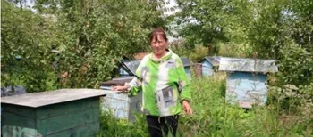 «Кожен вулик у мене – готель люкс»: як волинянка 31 рік тримає понад 50 вуликів (фото)