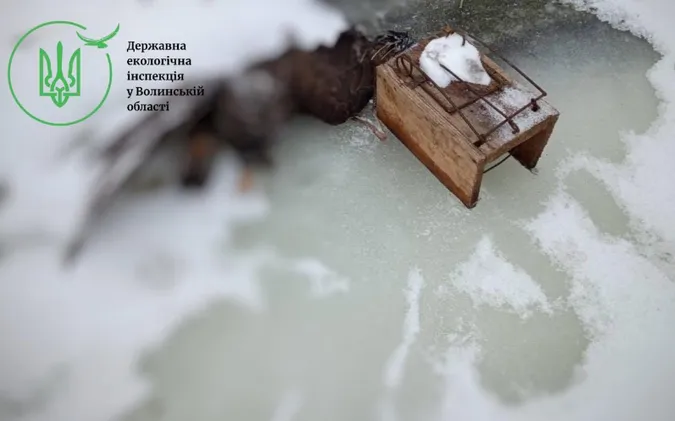 Біля річки Стохід знайшли браконьєрські пастки – у капкані загинув птах (фото)