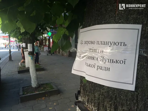 Ситуацію з деревами на центральній вулиці Луцька вирішили