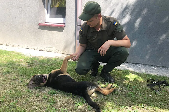 Як волинські гвардійці з грайливих щенят виховують службових псів (фото)