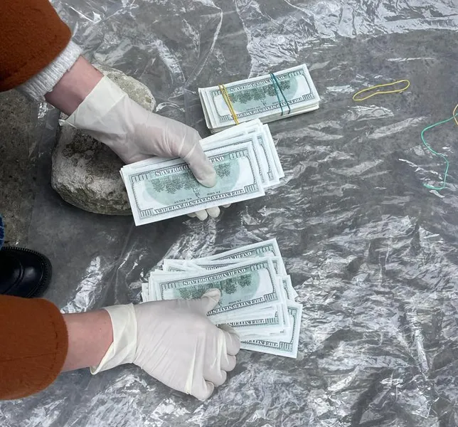 На Волині 26-річна жінка продала дитину подруги за $30000 (фото, відео)