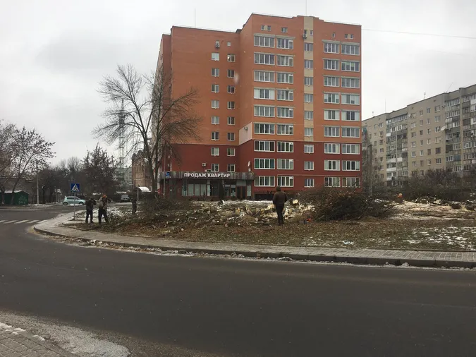 На Ветеранів у Луцьку позрізали дерева (фото)