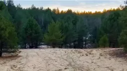 На Волині є реліктові дюни віком до 17 тисяч років: що це за місце (фото)