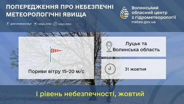 Пориви до 20 м/с: на Волинь суне сильний вітер