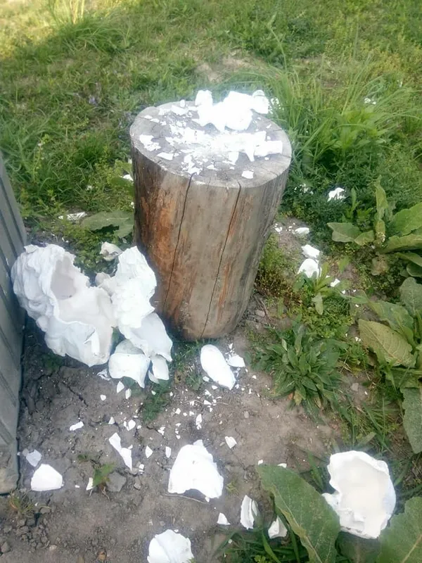 Вандали розгромили парк поблизу Луцька (фото)