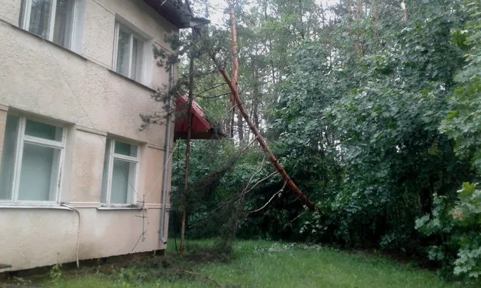 Власникам закладів на Світязі, де вирував буревій, порадили знести аварійні дерева (фото)