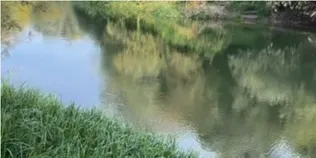 З'їхали з траси – і до самої води: біля Луцька показали рибне місце (відео)
