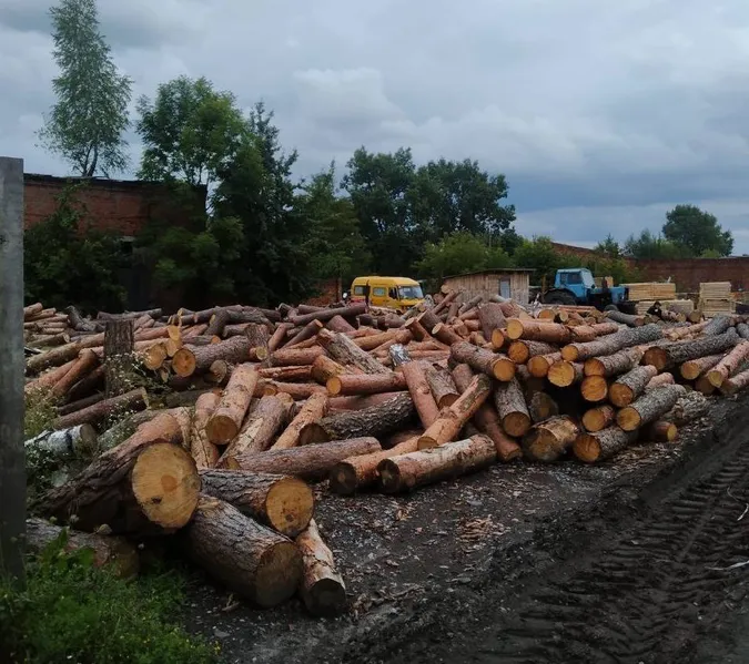 На Волині суд арештував сім сотень соснових колод (фото)