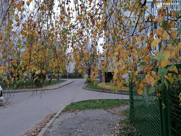 Осінь у  Луцьку (фото)
