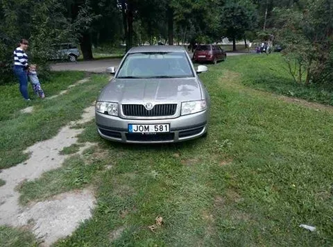 Луцькі муніципали штрафували тих, хто не вміє паркуватися (фото) 