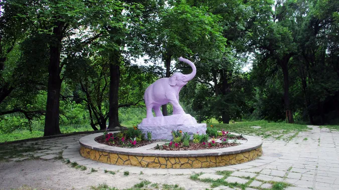Мінприроди: ботанічний сад у Луцьку треба зберегти