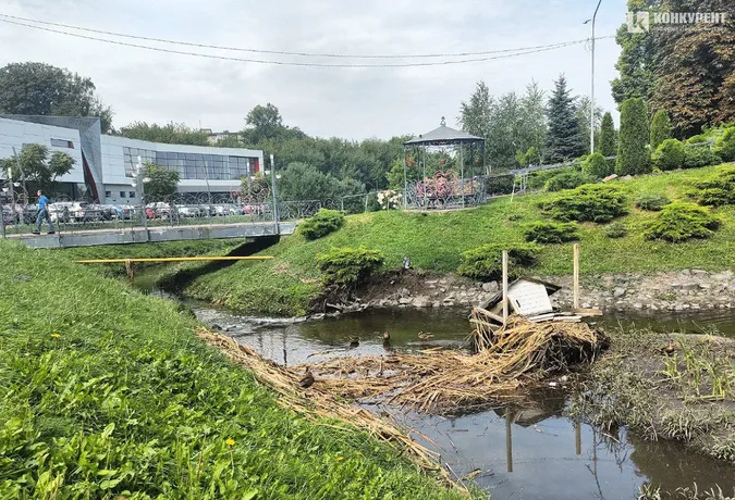У Луцьку злива зруйнувала будиночки місцевих качок (фото)