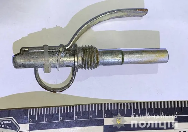 В оселі волинянина у шафі знайшли набої та гранату (фото, відео)