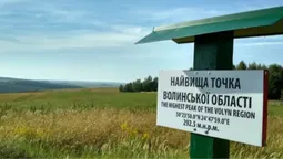 В мережі продають суницю, зібрану біля найвищої точки Волині (фото)