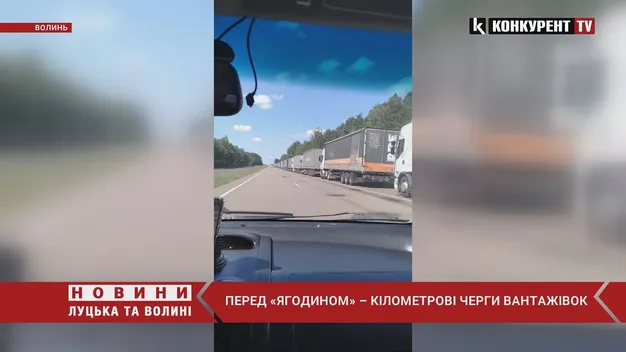 1300 фур: у волинській митниці назвали причину черг на «Ягодині» (відео)