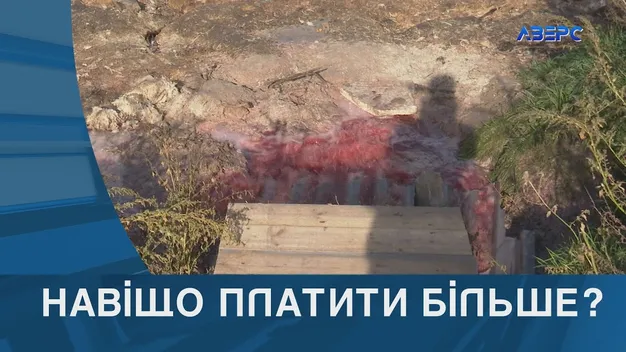 Волинська птахофабрика відмовляється сплачувати 10 мільйонів гривень грошових зобов’язань (відео)