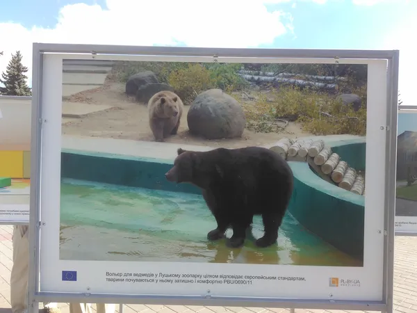Що Волині дала співпраця з Польщею та Білоруссю: фотовиставка у Луцьку