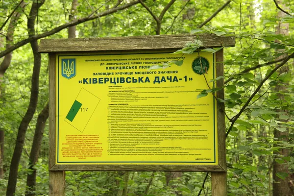 Біля Луцька росте унікальний 200-літній ліс: чому він особливий (фото)