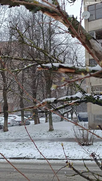 Засніжений березневий Луцьк (фото)
