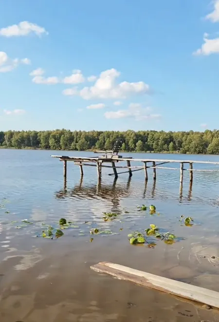 Серед лісу на Поліссі заховалося озеро з піщаним берегом, де журавлі готуються до відльоту (фото, відео)