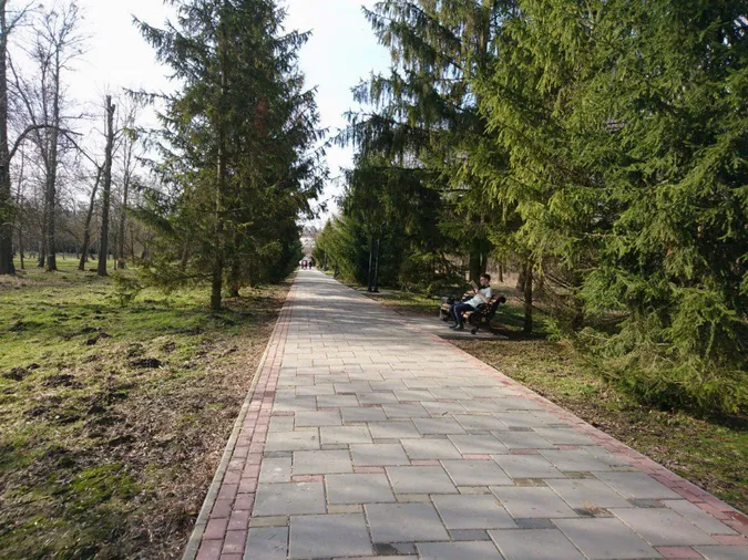 Човни, латання алей, кросфіт на пляжі: які плани на луцький парк?