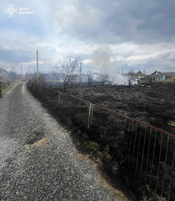 На Волині жінка хотіла спалити суху траву, а запалила свою дачу (фото)