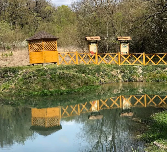 Лісівники відновили урочище у Володимир-Волинському районі (фото)